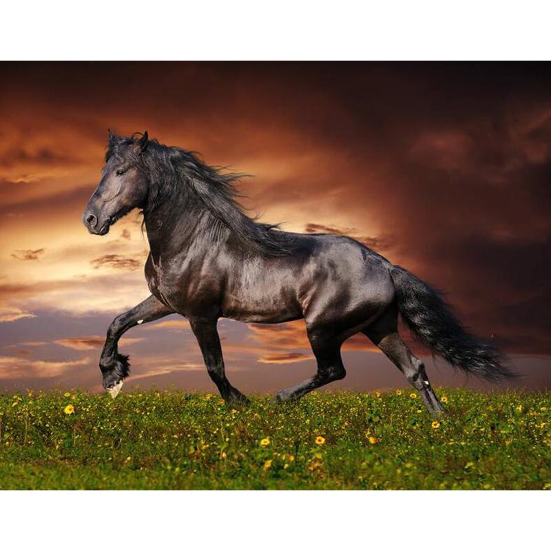 Pferd DIY 5D Diamant Malerei Kreuzstich Tiere Diamant Stickerei voller runder Bohrer Strass Mosaik Home Decor Geschenk