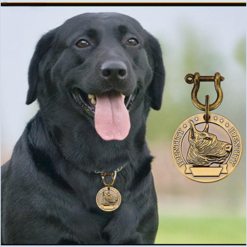 1 Stück Haustier-ID-Tag, bronzefarbenes Namensschild für Hunde und Katzen, personalisierte Adressnummer, ID-Anhänger für Hundehalsband