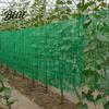 Garden Trellis for Clematis Netting Climbing Plants Heavy Duty Plastic Easy Install Plant Net Netting Support Cucumbers Tomatoes Peas Anti