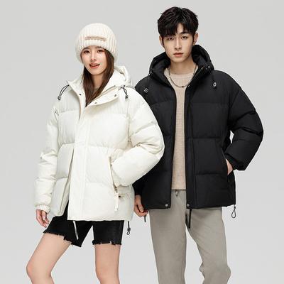 Doudoune d'hiver pour homme, couleur unie, décontractée, à capuche, style couple, tendance, duvet de canard blanc, épaisse et chaude