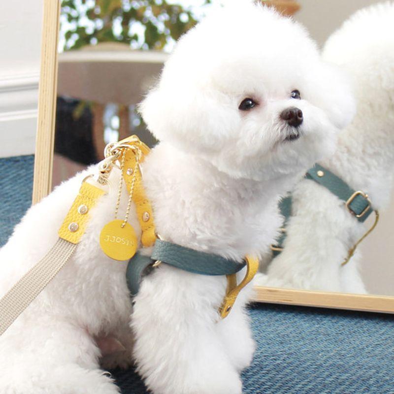 MAISON DE MIU Running Mate Harness_Indian Blue/Yellow