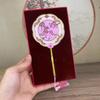 Forbidden City Peach Blossom Cultural And Creative All Brass Flower Pouch Small Portable Handle Makeup Mirror Impe