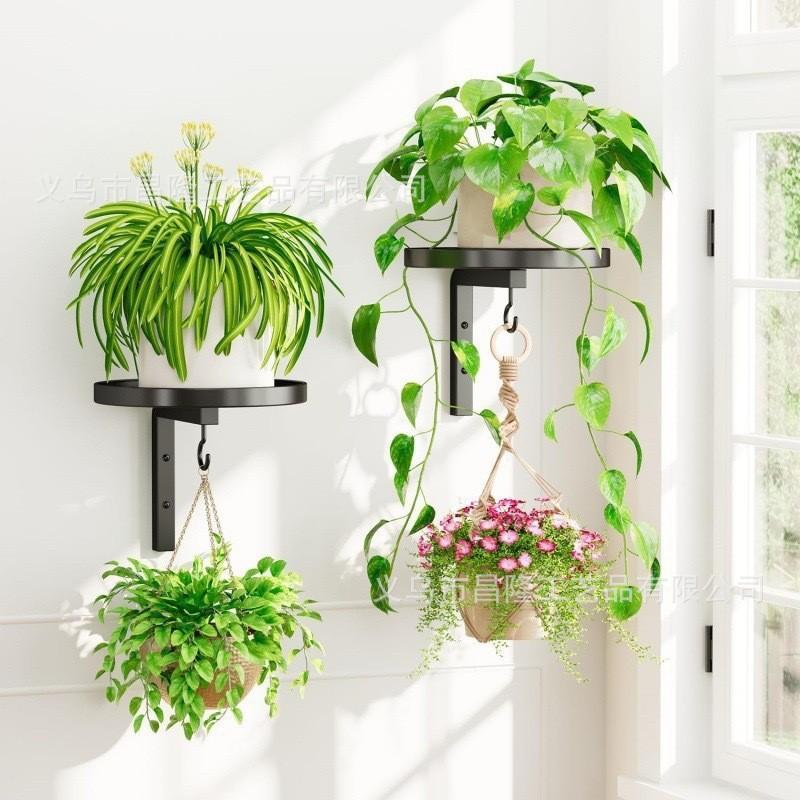 Hook Design Iron Wall Bathtub Bird Feeder Easy Install Weather Resistant Outdoor Courtyard Ornament