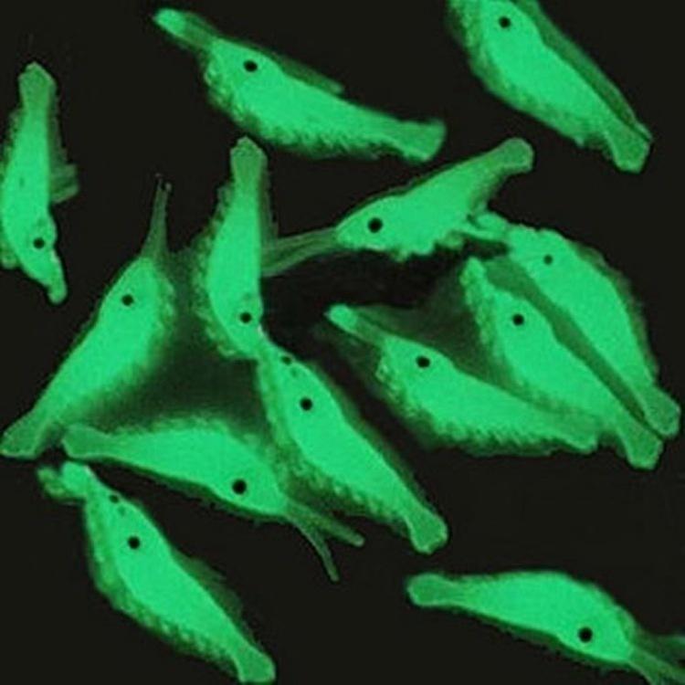 50/100/150pcs 40mm Luminous Soft Shrimp Bait Fishing Lures Artificialbait Luminous Shrimp