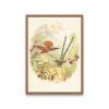 Garden birds poster, goldfinch bird, beaked warbler bird and hyacinth flower, four bengal birds, audubon bird print decoration,