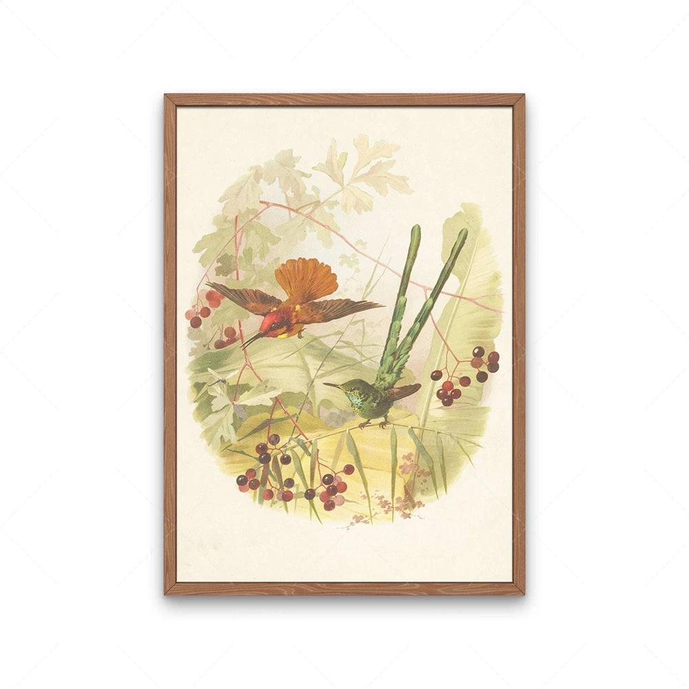 Garden birds poster, goldfinch bird, beaked warbler bird and hyacinth flower, four bengal birds, audubon bird print decoration,
