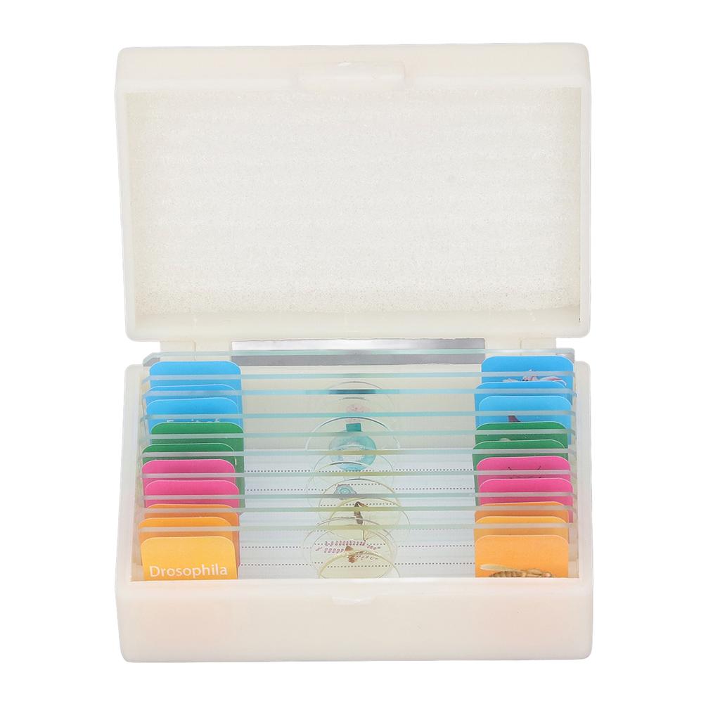10Pcs Microscope Slides with Specimens Animal Plant Bug Glass Slides Laboratory Supplies for