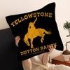 W-W-W-ES W-WrestlingS StarS Cushion Cover Car Throw Pillow Case For Sofa Car Christmas Gift 40x40cm 45x45cm