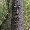 Tree Trunk Facial Feature Decoration Tree Eye Organ Set Outdoor Courtyard Pendant Design Home Tree Face