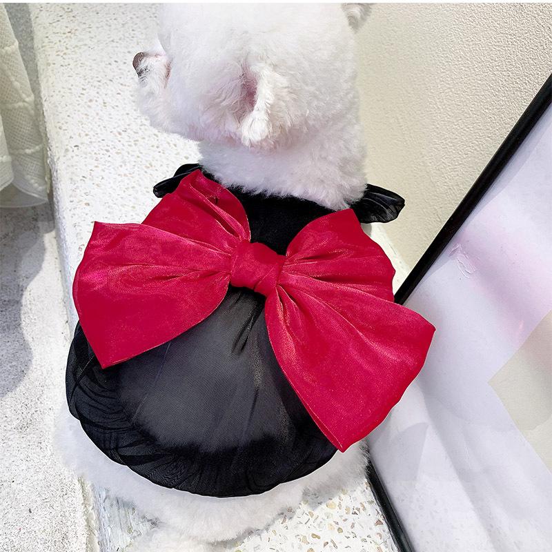 Bow Dog Princess Dress Summer Dog Clothes Lace Thin Puppy Skirt Girls Dog Costume Chihuahua Bichon Cat Dresses Dog Clothing 2025