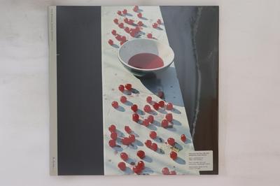 LP Record PAUL MCCARTNEY - Mccartney HRM3281201,0888 MPL 2011 Non Japan Rock Used
