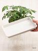 Thickened Rectangular Plastic Flower Pot Tray - Large Water Catching Mat for Bonsai