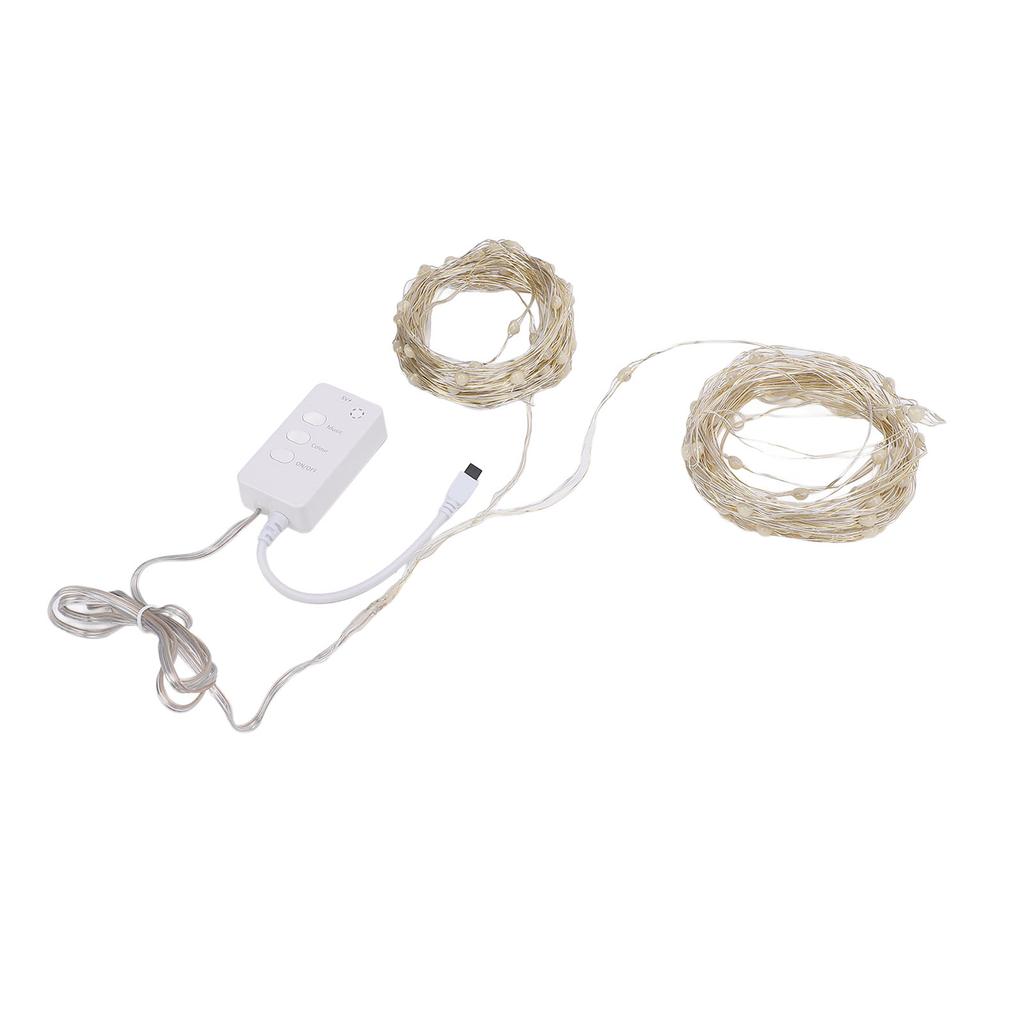 Smart LED String Lights Bluetooth USB Decorative Twinkle String Light with Copper Wire for Festive