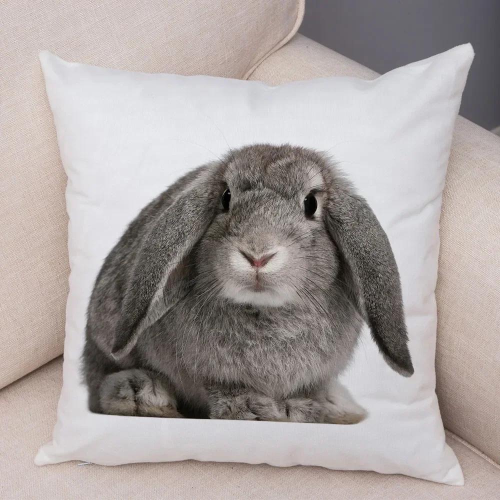 Home Sofa Kids Room Decor Cute Pet Animal Print Cushion Cover Pillowcase  Rabbit