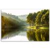 Canvas Print, Landscape Forest Trees Nature