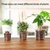 Transparent Flower Pot Seedling Cups Seed Growing Flowerpot Nursery Pot Garden Supplies Nursery Flowerpot