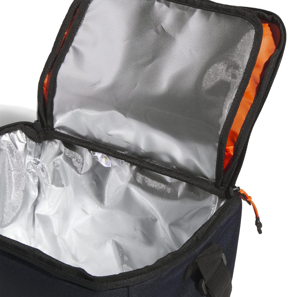 Cooler bag