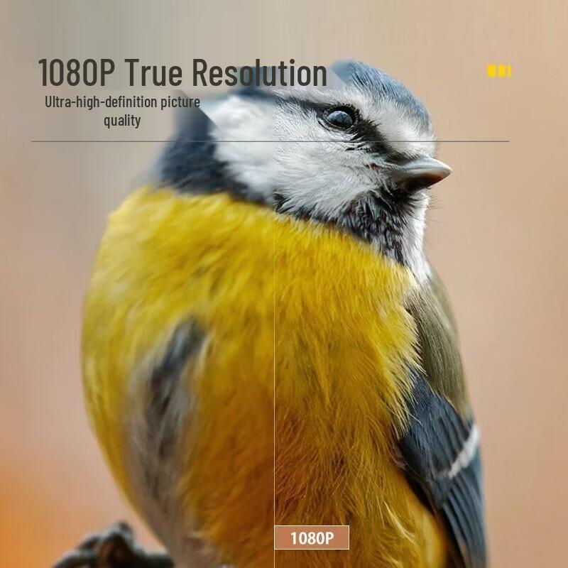 Optoma LEF9166 1080P 3D Home Theater Projector (CN version)