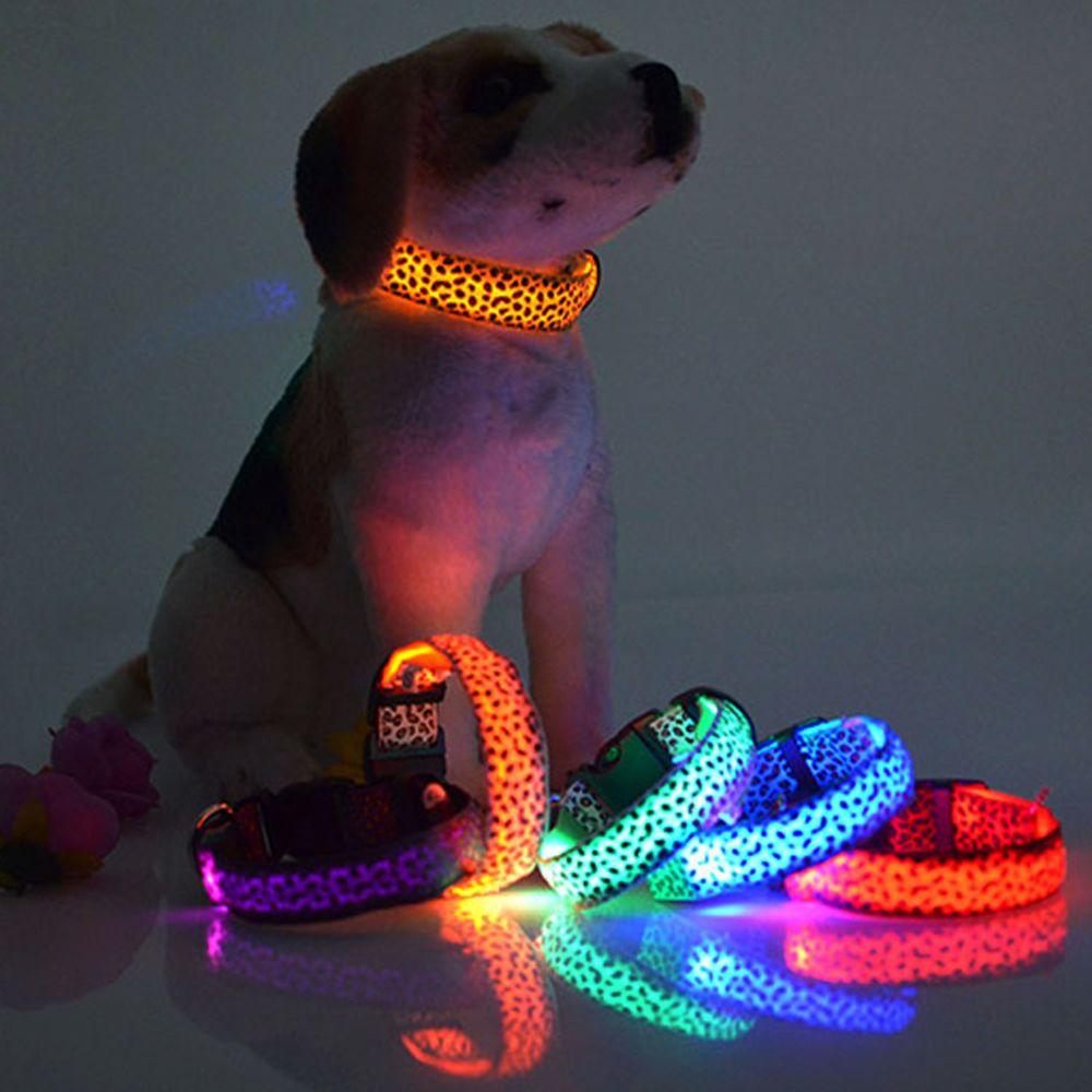 bright dog collars