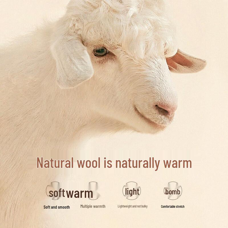 Hodo Men's Wool & Silk Blend Business Casual Trousers