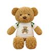 Cosy Teddy Bear Plush Doll With Beige And Brown Short Velvet For Room Decoration