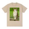 Cat Owl Funny Meowl Meme Brainrot T-shirts Men's Women Clothing Fashion Harajuku Short Sleeves T-shirt Cotton Oversized T Shirts