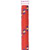 Boat Rope 5 m 3 cm Red PP