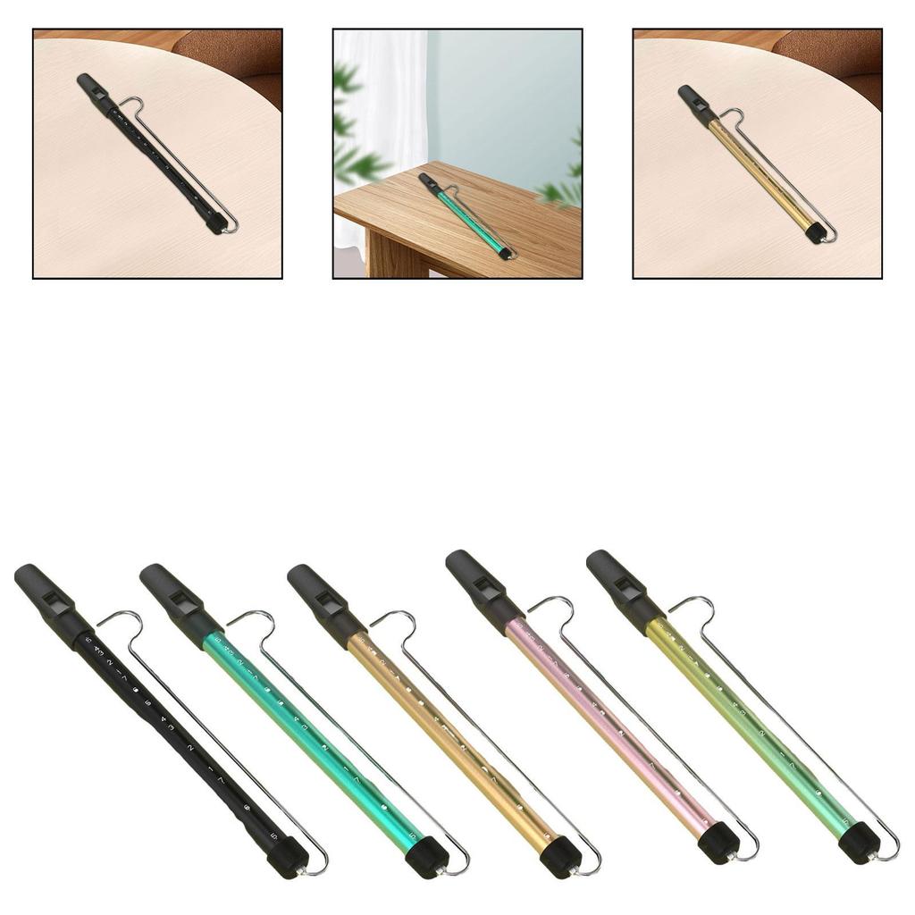 Schiebe-Pfeife Lustig Professionell Kinder Pädagogisches Instrument Pfeife Schiebepfeife für Kinder Jungen und Mädchen Kinder Schulpreise