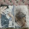 [USED] Yuri!!! On Ice Goodnight Bedding/Pillowcase Yuri Katsuki/Victor