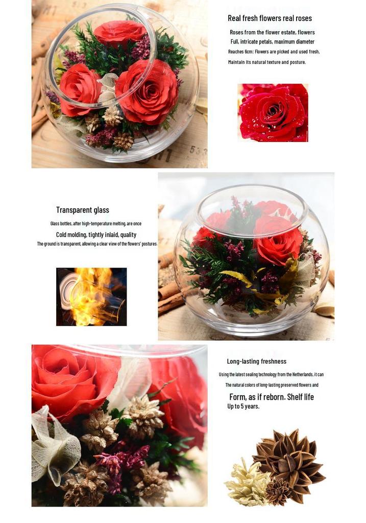 Thailand Red Rose Preserved Flower with Glass Cover – Valentine's and Christmas Gift