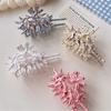 Irregular Spots Hair Claw Grasp Acrylic Hair Gripper Individualistic Conch Hair Clip  Party