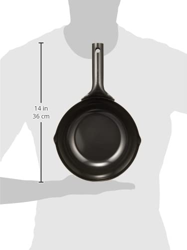 Sato Metal Industry SALUS Mini Beijing Pot, Iron, 22cm