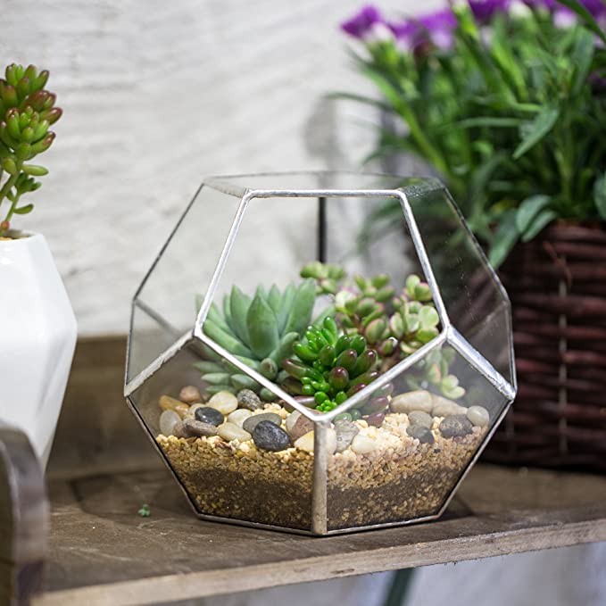 Mini Glass Geometric Terrarium Container Gold Terrarium Set Glass Flower Pot Planter Vase Bowl Display Box Decor