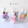 Preserved Flower Dome, Flower Dome, Buddhist Flowers, Offering Flowers, Violets, 1 Piece, Pink