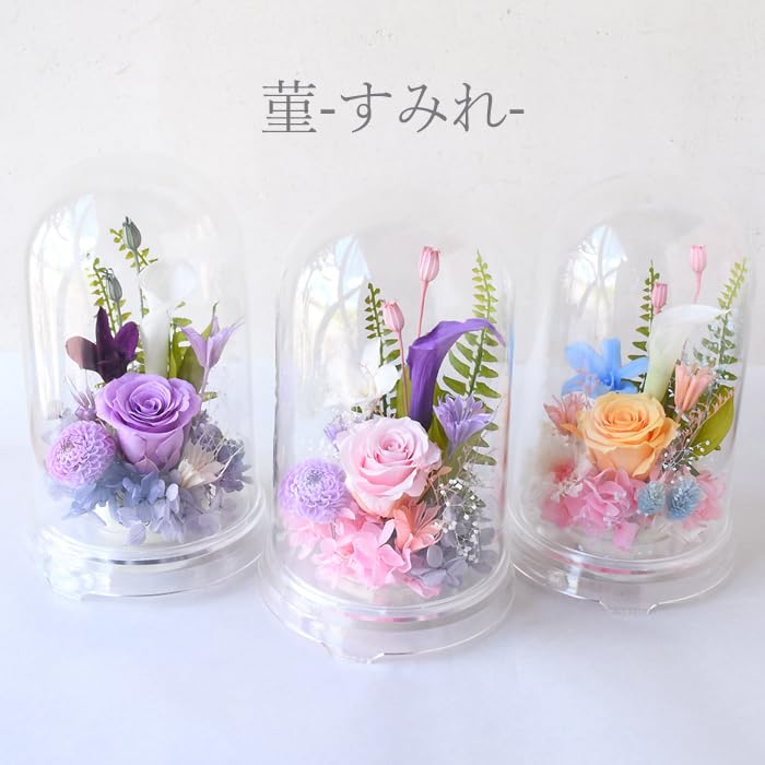 Preserved Flower Dome, Flower Dome, Buddhist Flowers, Offering Flowers, Violets, 1 Piece, Pink