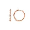 Earrings - LUXENTER - Nemako - Zirconia - 18k Yellow Gold Finish - Metal Alloy