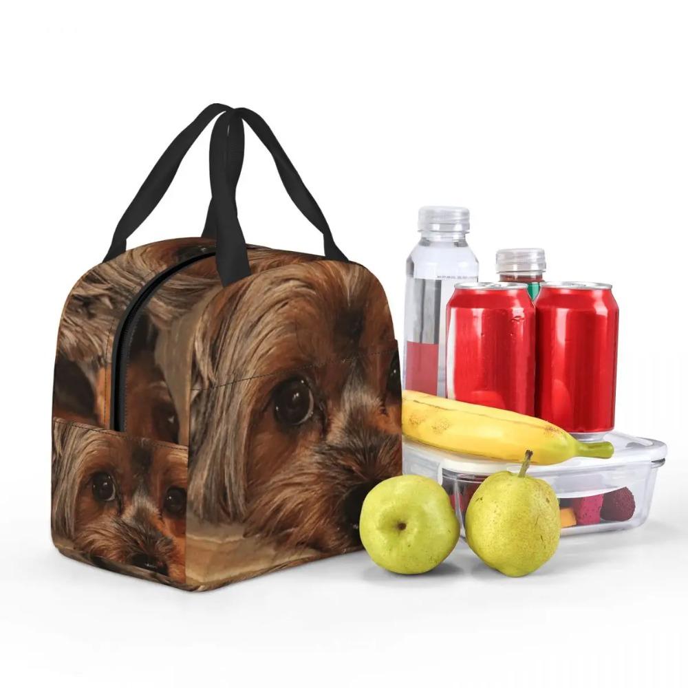 Cute Yorkshire Terrier Yorkie Puppy Dog Insulated Lunch Bag for Women Kids Portable Food Boxes Thermal Lunch Box Tote