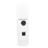 Mini Portable Beauty Facial Steamer Face Sprayer Salon USB Rechargable Mist New