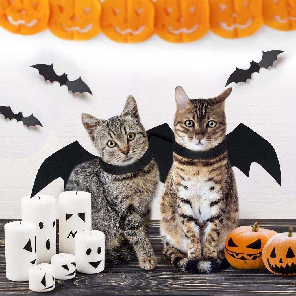 Halloween Dog Bat Costume with Leash Cat Pet Bat Wings Clothes Funny Apparel Outfit Dress Up Accessories for Cosplay Party XL