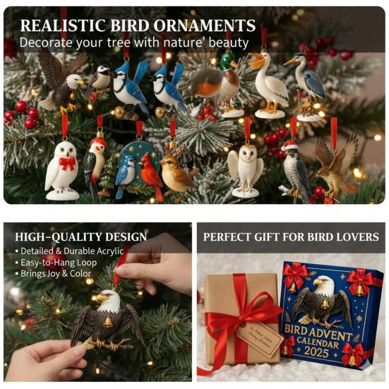 2025 Bird Advent Calendar 24 Days Realistic Acrylic Bird Ornaments Christmas Countdown Decor Gift for Bird Watchers & Nature Lovers