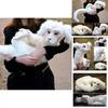 Falkor From The Neverending Story Plush Lucky Dragon Toy Pp Cotton Filling Home Decor Kids Gift