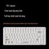 EWEADN V82 Wireless Transparent Mechanical Keyboard