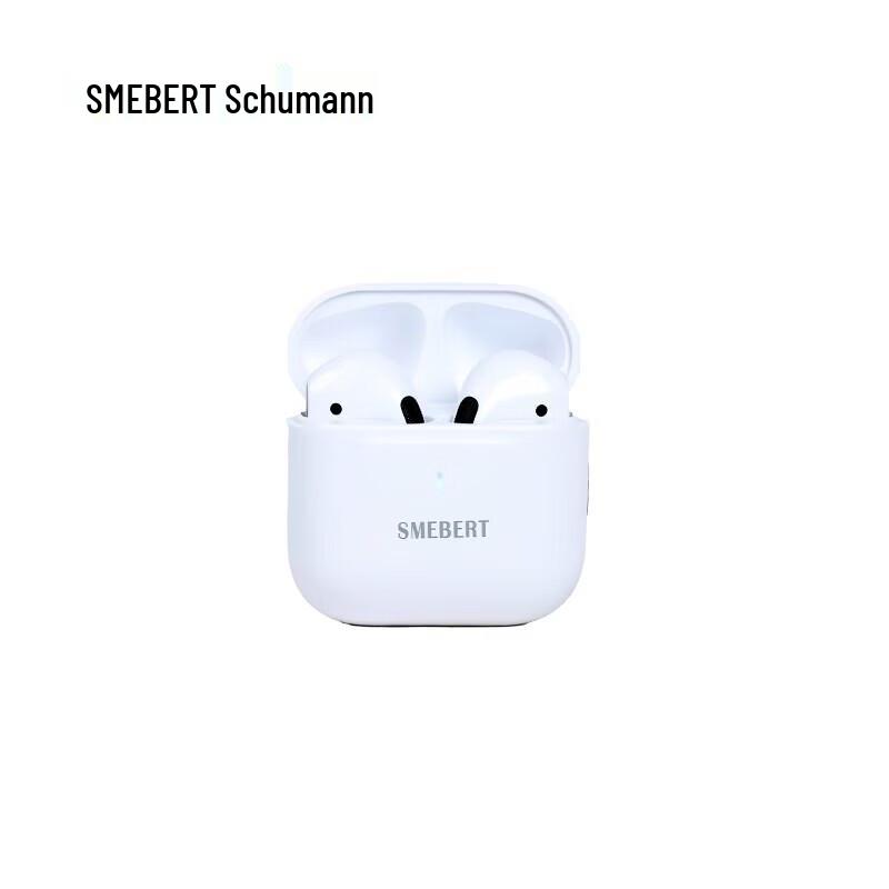 SMEBERT X1 Wireless Noise-Cancelling Bluetooth Earbuds