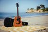 Guild Acoustic Guitar Travel Size Mini Guitar TRAVELER
