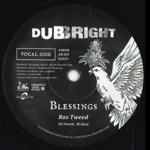 

7inch Record RAS TWEED - Blessings DR003 Dubright 2023 Germany Reggae, Ska & Dub