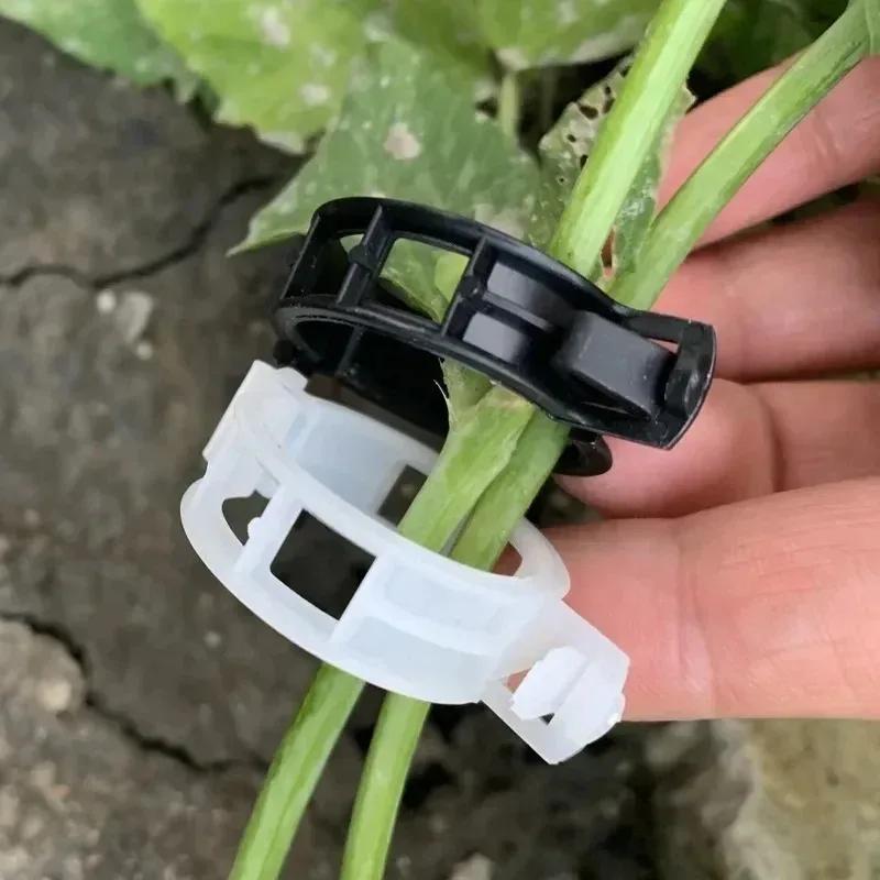 Reusable Plastic Plant Support Clips Garden Vine Strapping Fixing Clip for Climbing Tomato Grape Vegetables Stalk Holders Buckle