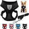 Breathable Mesh Pet Harness Leash Set with Reflective Straps for Chihuahua York Bulldog Adjustable Dog Chest Strap Walking Leash