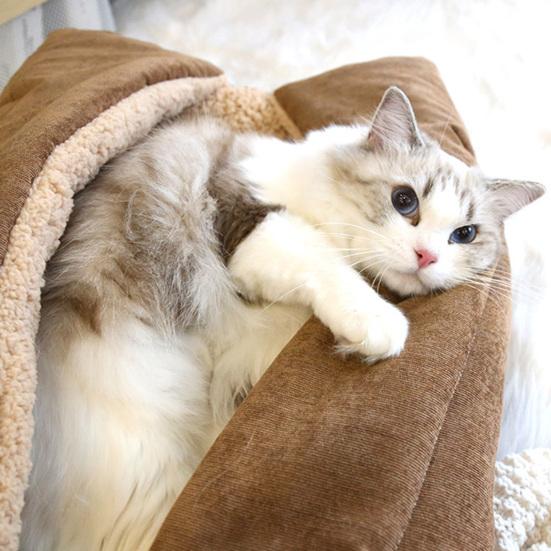 Pet Blanket Multifunctional Foldable Corduroy Warm Soft Cat Bed Mat for Dog