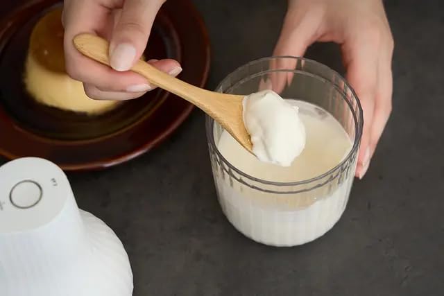 Kai Brand KAI Automatic Fresh Cream Whipper Fresh Cream NAMACRICH Compact Whipping Cream Cordless Rechargeable Charging Cable Included DK5150 USB-C