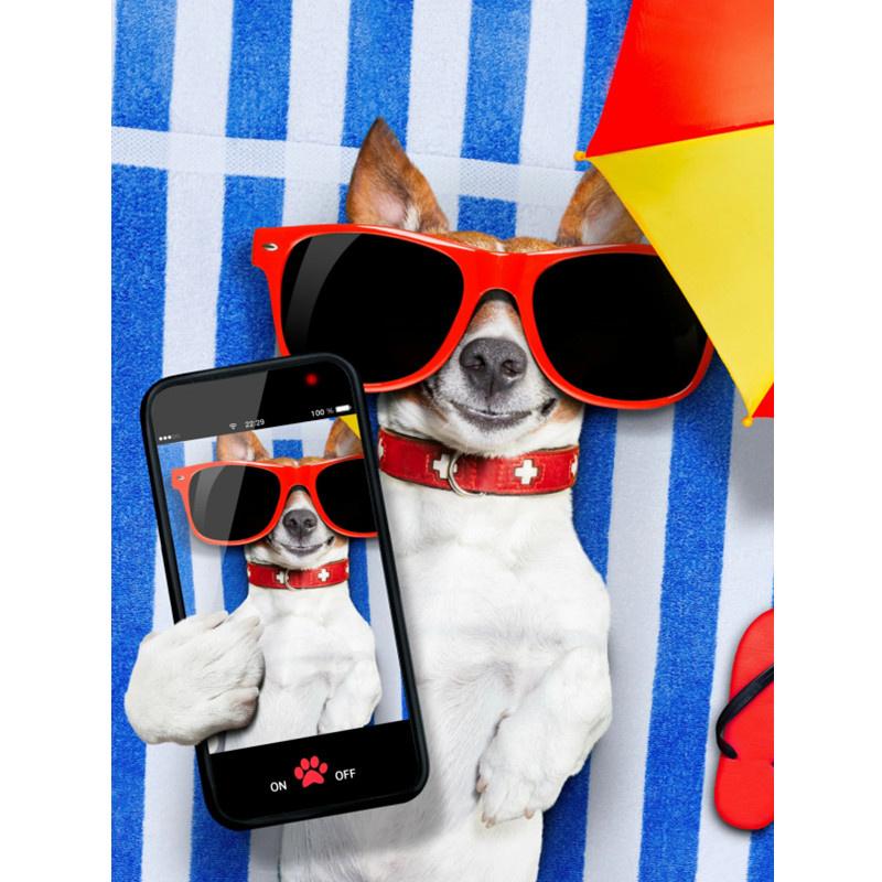 5D-Diamantmalerei zum Selbermachen, fröhlicher cooler Strandhund, Diamantstickerei, Kreuzstich-Set, voller Strass, Mosaik, Heimdekoration